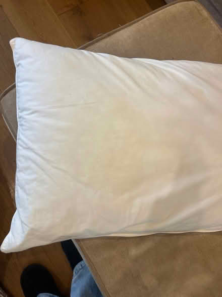 Photo of free Pillow medium softness (KT13) #3