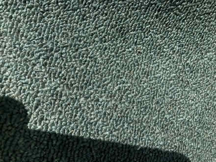 Photo of free Area rug, green, 6' x 8' (Stockbridge, MI) #3