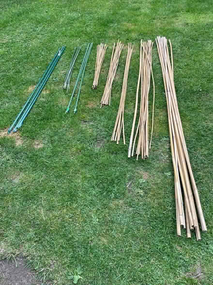Photo of free Garden Canes (Chapel-en-le-Frith SK23) #2