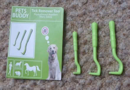 Photo of free Tick removal tools (Raymond's Hill EX13) #1