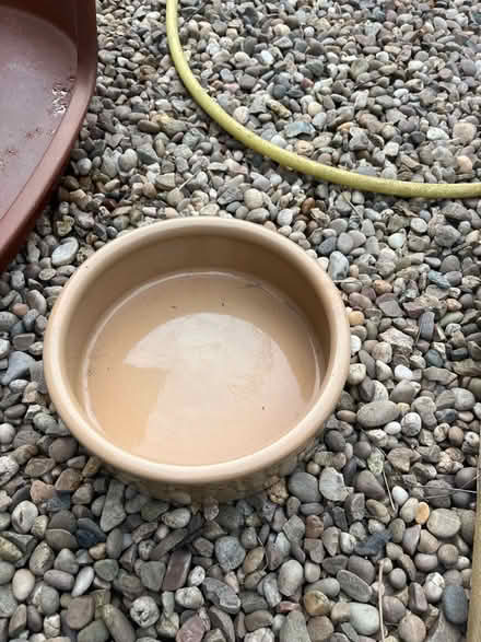 Photo of free Big ol’ chunky ceramic water bowl (Barnard's Green WR14) #1