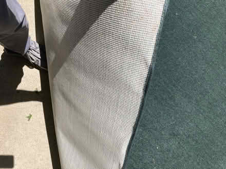 Photo of free Area rug, green, 6' x 8' (Stockbridge, MI) #2