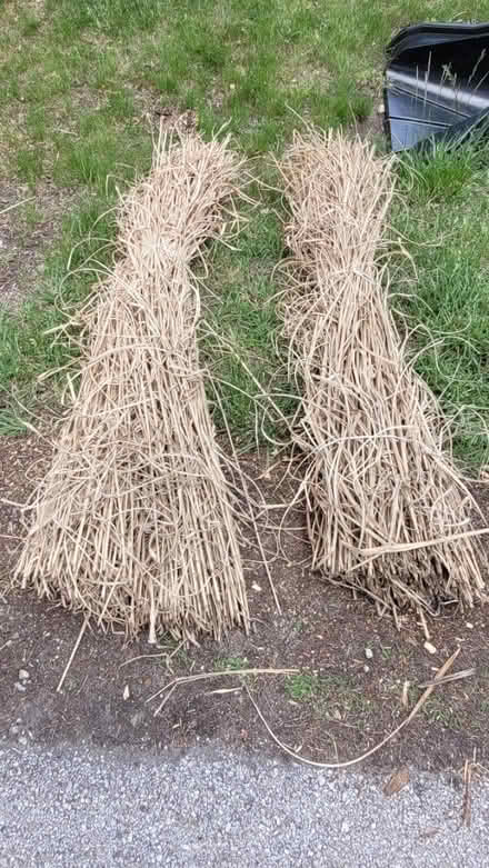 Photo of free 2 bundles of straw (West side unincorporated area) #1