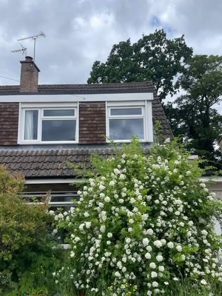 Photo of free Roof Tiles (WS13 Lichfield) #3