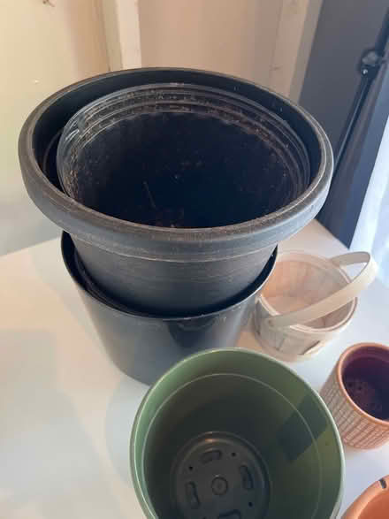 Photo of free Pots by the lot (Laurel) #2