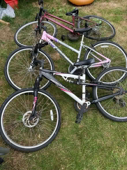 Photo of free Bikes (Tolwort KT5) #2