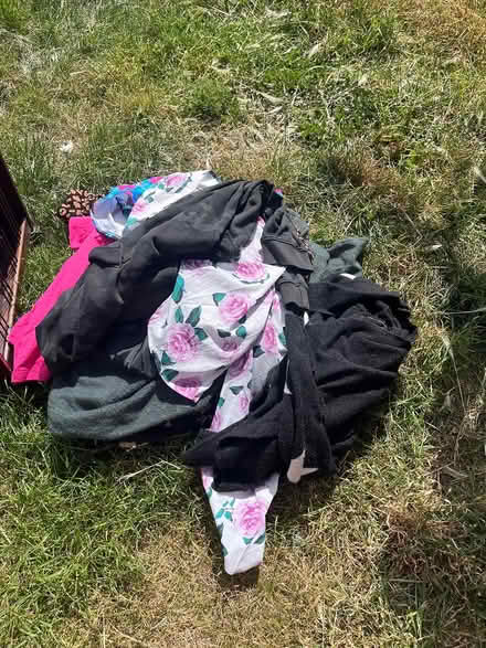 Photo of free Size 16 upwards (Ipswich IP2) #1