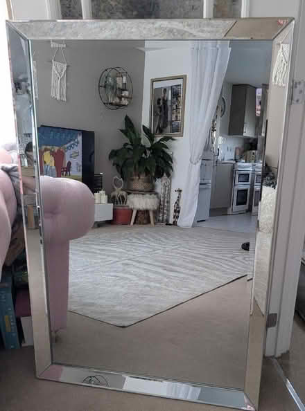 Photo of free Large mirror (Montgomery Lines GU11) #1