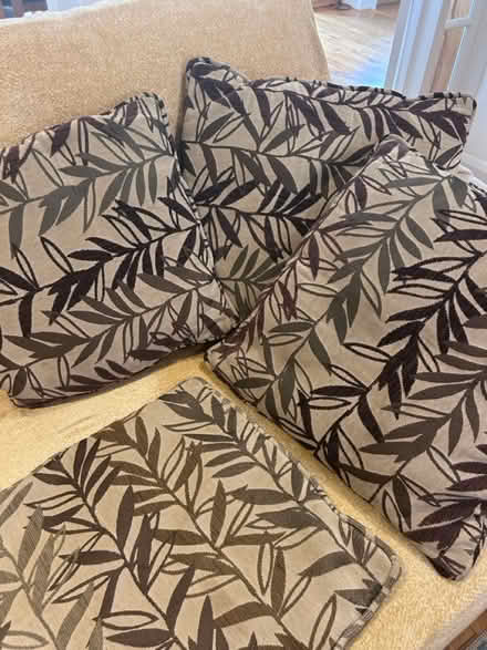 Photo of free Set of 4 cushions (KT13) #1