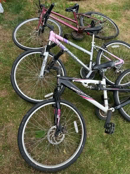 Photo of free Bikes (Tolwort KT5) #1