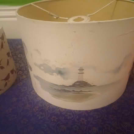 Photo of free Lamp shades (Drighlington, Bradford BD11) #3