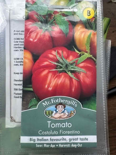 Photo of free Tomato Plants (Grafton, Shrewsbury) #3