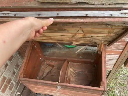 Photo of free Chicken house ! (in need of repair) (Mitcham CR4) #4