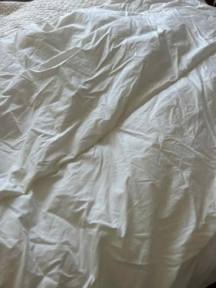 Photo of free Single duvet #2 (KT13) #2