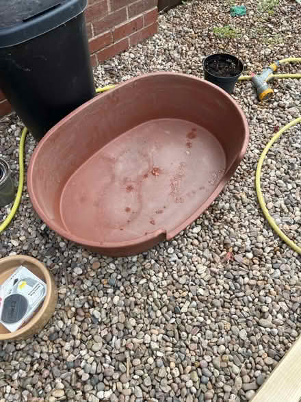 Photo of free Plastic dog bed (Barnard's Green WR14) #1