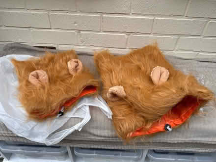 Photo of free Dog dress up lion main (CH62 bromborough) #2