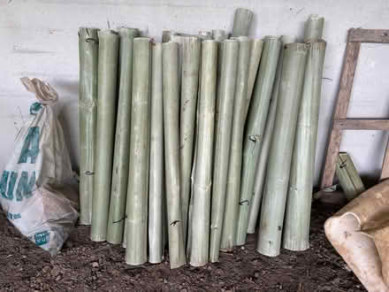 Photo of free Tubex tree guards (Middleyard GL10) #1