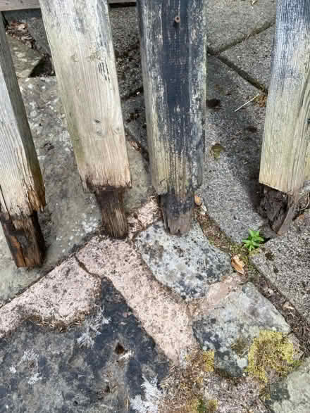 Photo of free Wooden posts (Heald Green SK8 3) #2