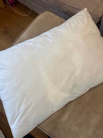 Photo of free Pillow medium softness (KT13) #1