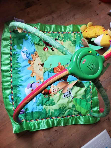 Photo of free Baby jungle playmat (Splott CF24) #1