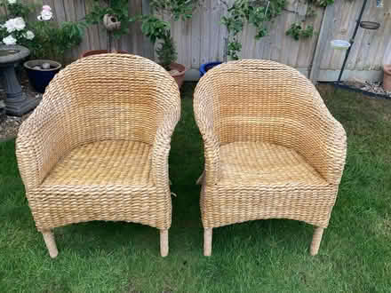 Photo of free Garden Room Chairs (Caldecott OX14) #1