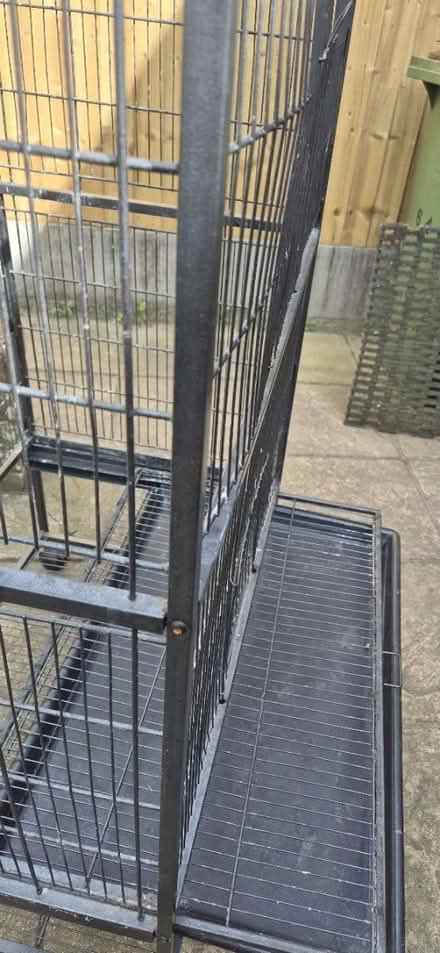Photo of free Large bird cage (Rh12 2HQ) #3