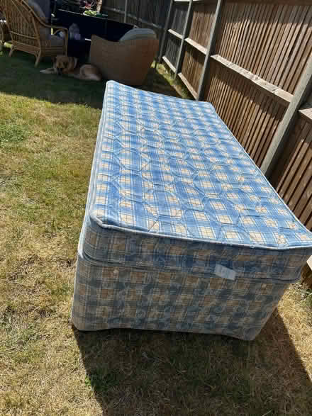 Photo of free Trundle single bed (Lee SE12) #2