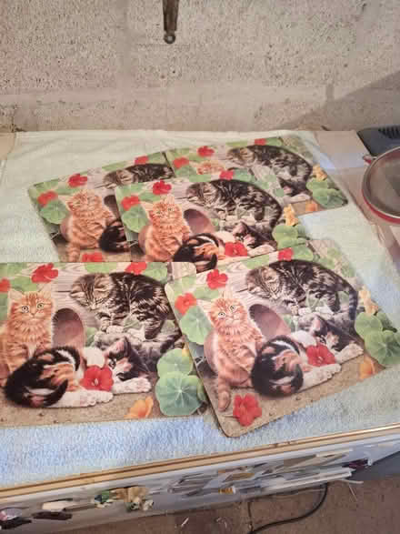 Photo of free 5x cat themed place mats (Threemilestone Truro) #1