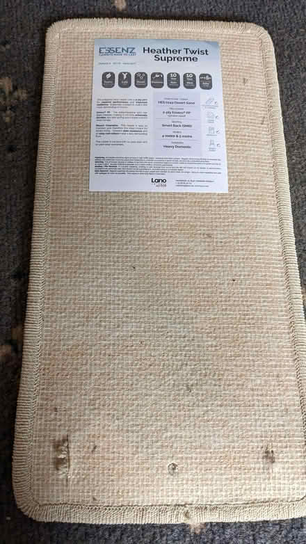 Photo of free Carpet Samples (Lipson PL4) #3