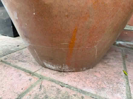 Photo of free XL GARDEN POT has crack (Chelmer village CM2) #3