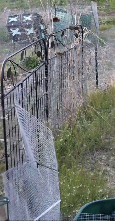 Photo of fencing to replace (Woburn cinemas rte 38) #1