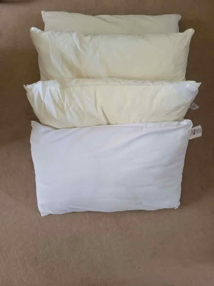 Photo of free 4 Pillows (West Bletchley MK3) #1