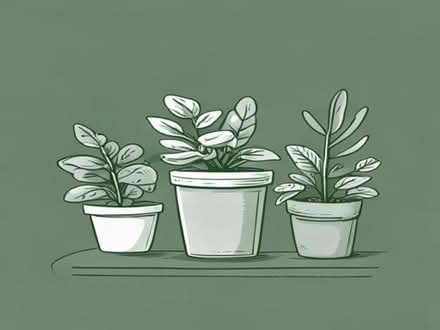 Photo of free Assorted houseplants (Southport PR9) #1
