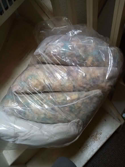 Photo of free Cushion inserts (Southport PR8) #1