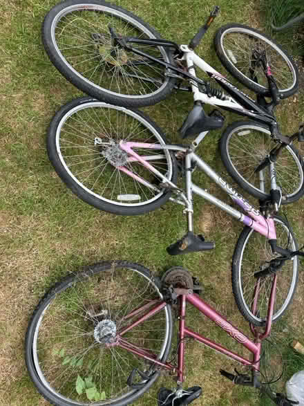 Photo of free Bikes (Tolwort KT5) #3