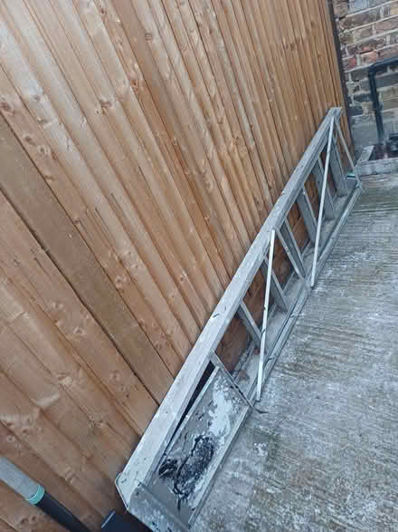Photo of free Tall ladder 6ft (Wood Green N22) #1