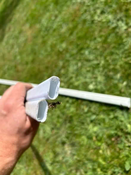 Photo of free Electrical trunking (Worcester WR3) #2