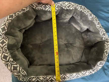 Photo of free Pet bed for cat or small dog (Hackney E8) #3