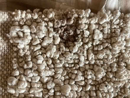 Photo of free Cotton throw, large - some stains and damage (Wandsworth Common SW17) #3