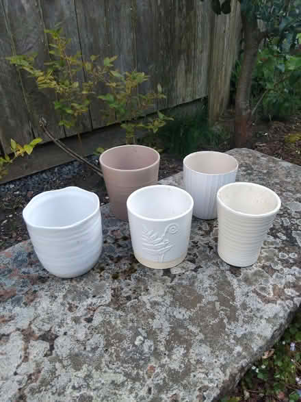 Photo of free Small indoor plant pots (Benton NE12) #1