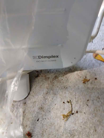 Photo of free Dimplex Panel Radiator (Bexhill TN39) #2