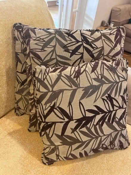 Photo of free Set of 4 cushions (KT13) #2