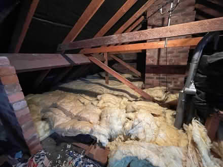 Photo of free Loft Insulation (Cumdivock) #3