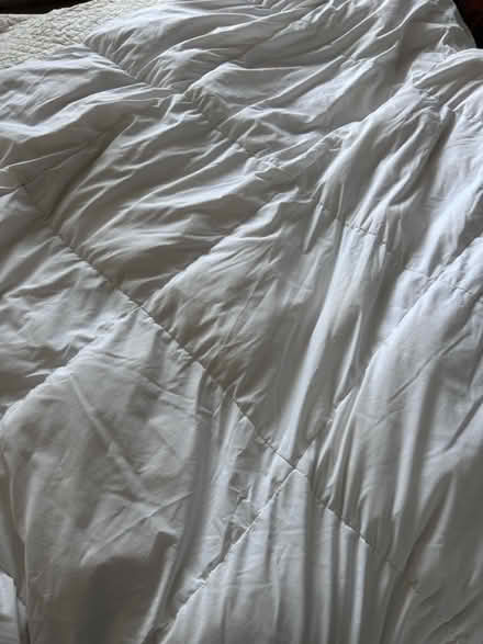 Photo of free Single duvet (KT13) #2