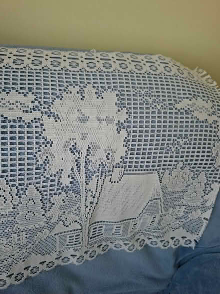 Photo of free Net material (Welling DA16) #1