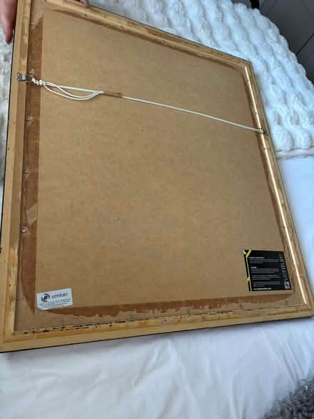 Photo of free Bronze coloured large picture frame (Warmley) #3