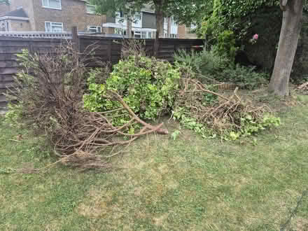 Photo of free Wood (Bletchley MK2) #1
