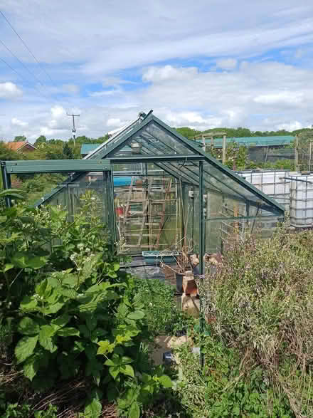 Photo of free Greenhouse 8 x 6 (Middleton On the wolds) #1
