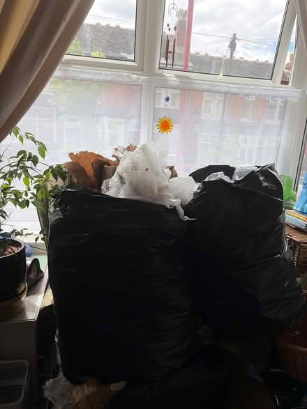 Photo of free Tons of bubble wrap etc & bike box (edgbaston B16) #3