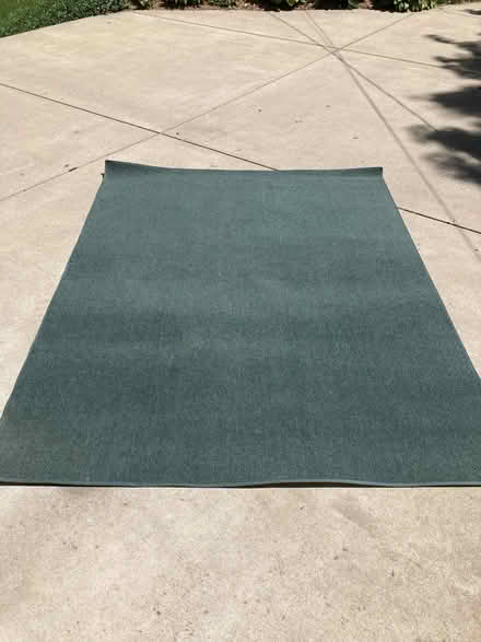 Photo of free Area rug, green, 6' x 8' (Stockbridge, MI) #1